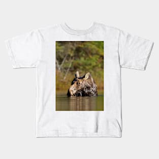 Moose - Algonquin Park, Canada Kids T-Shirt